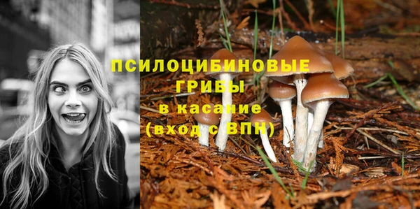 метадон Абаза