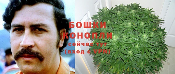 каннабис Алзамай