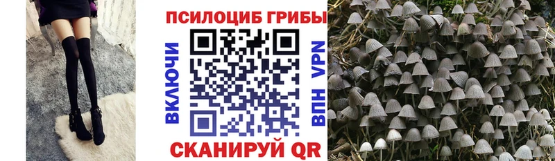 наркота  Яблоновский  Галлюциногенные грибы ЛСД 